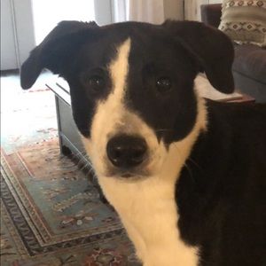 Meet your Posher, Aubrey